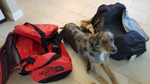 Before--empty duffles