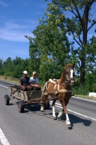 Sharing the road in Romania