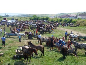 The gathering (photo courtesy of Stephen, fellow rider)