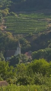 Wachau 