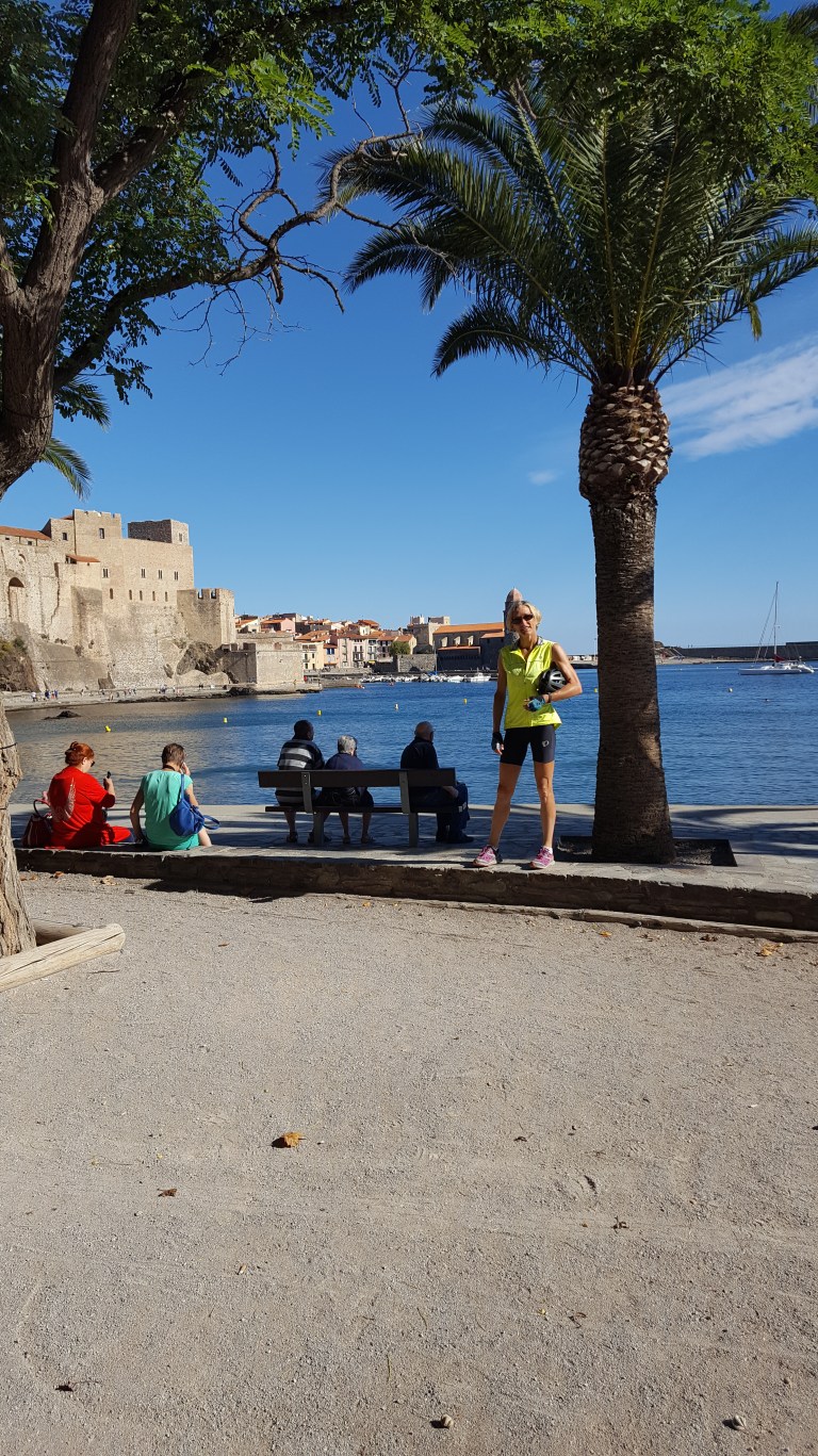 barb-in-collioure-france