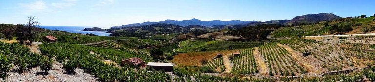 just-beautiful-view-208390