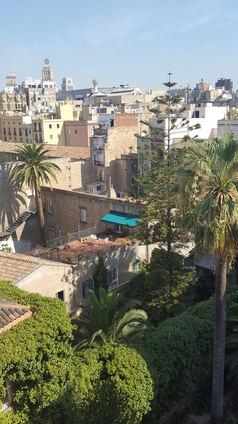 view-from-the-hotel-roof