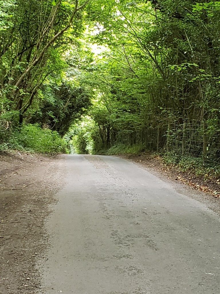 a country lane
